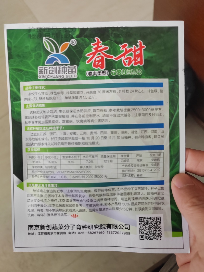 牛心甘蓝种子鸡心甘蓝种子牛心莲花白种子鸡心莲花白种子
