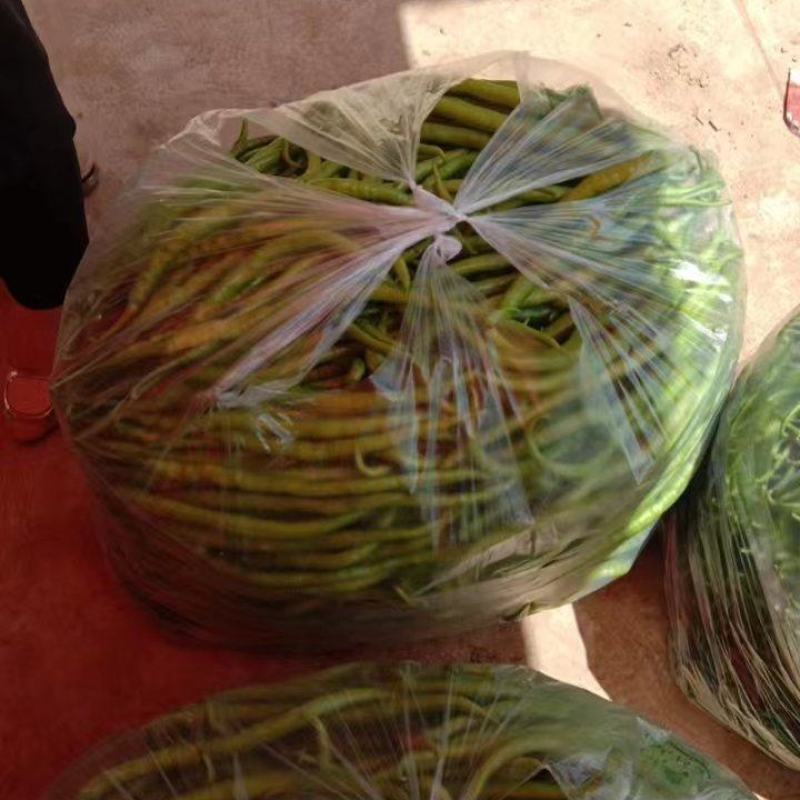 精品二荆条辣椒货源充足量大从优质量保证欢迎咨询