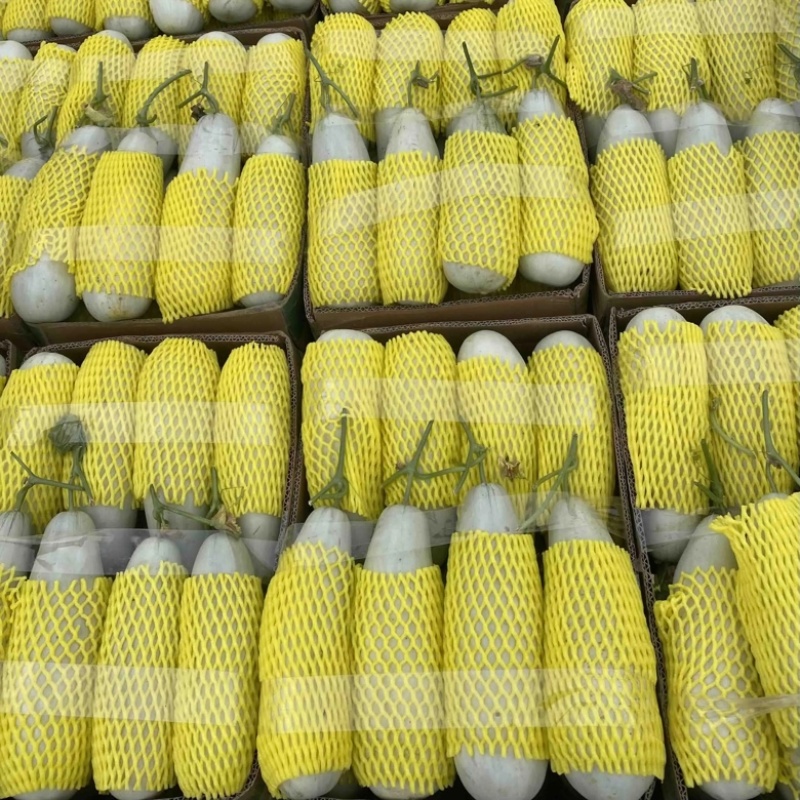 精品青县博洋甜瓜绿宝羊角蜜，产地直发大量供应