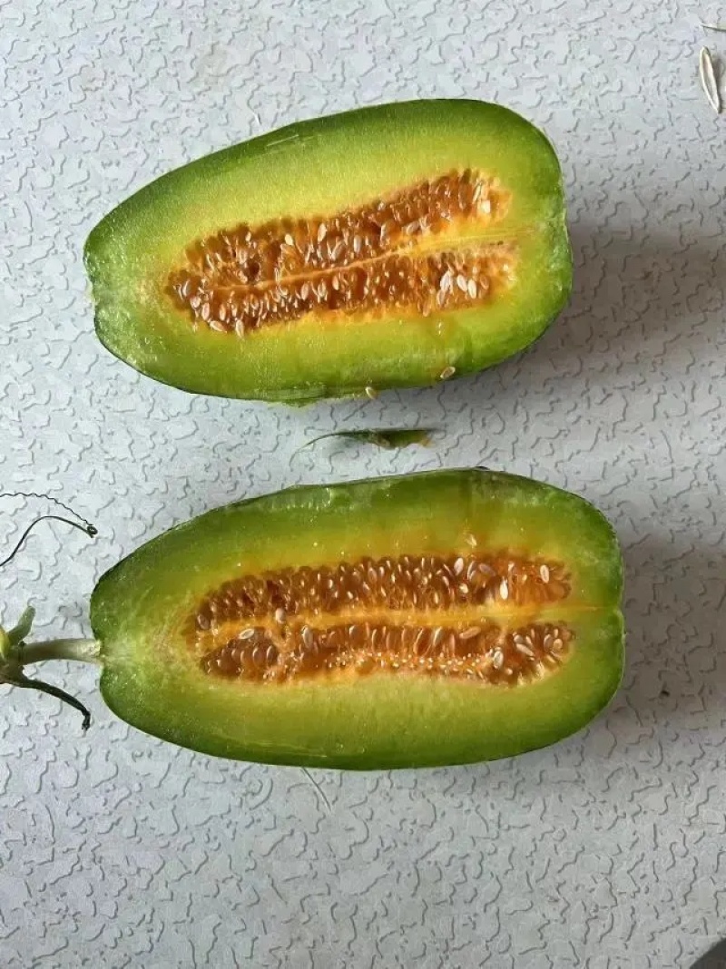 精品青县博洋甜瓜绿宝羊角蜜，产地直发大量供应