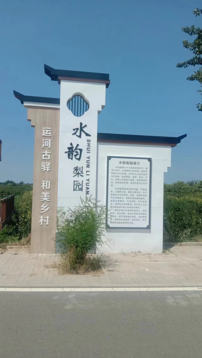 皇冠梨河北沧州皇冠梨大量供应中产地直发量大优惠