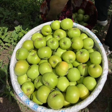 昭通青香蕉青苹果