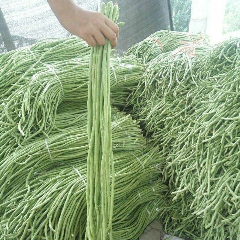 豆角大量现货，量大从优，可全国发货，欢迎采购