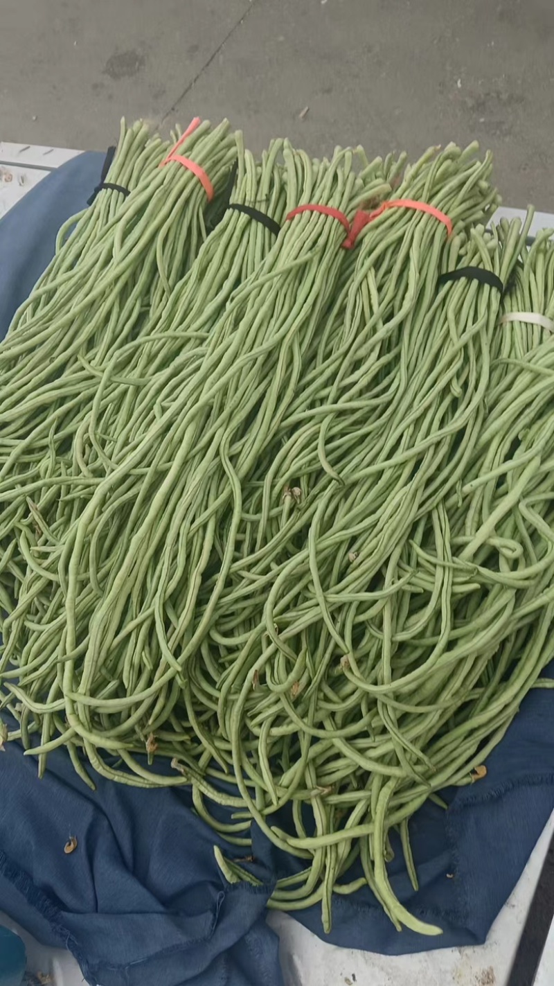 豆角大量现货，量大从优，可全国发货，欢迎采购