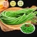 豆角大量现货，量大从优，可全国发货，欢迎采购