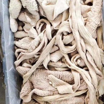 熟牛肠,半熟无水无油,抛开精品,源头直供,欢迎采购
