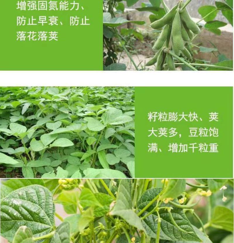 豆类拉长嫩直花荚饱豆角芸豆膨大素拉直拉长豆角嫩直长