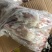 猪舌头