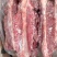 多肉羊蝎子