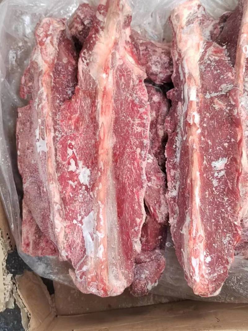 多肉羊蝎子