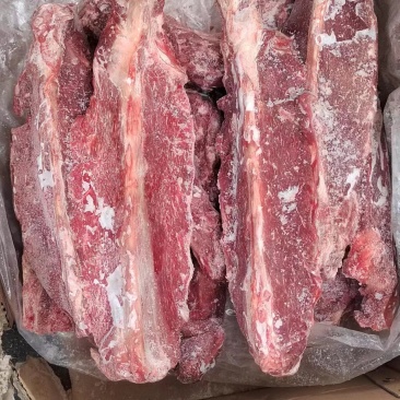 多肉羊蝎子