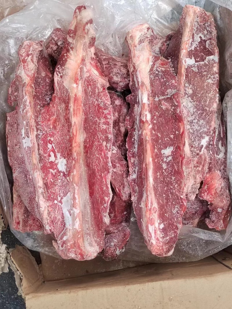 多肉羊蝎子