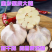 《大蒜》金乡大蒜/紫皮大蒜/供应出口/常年代收代办