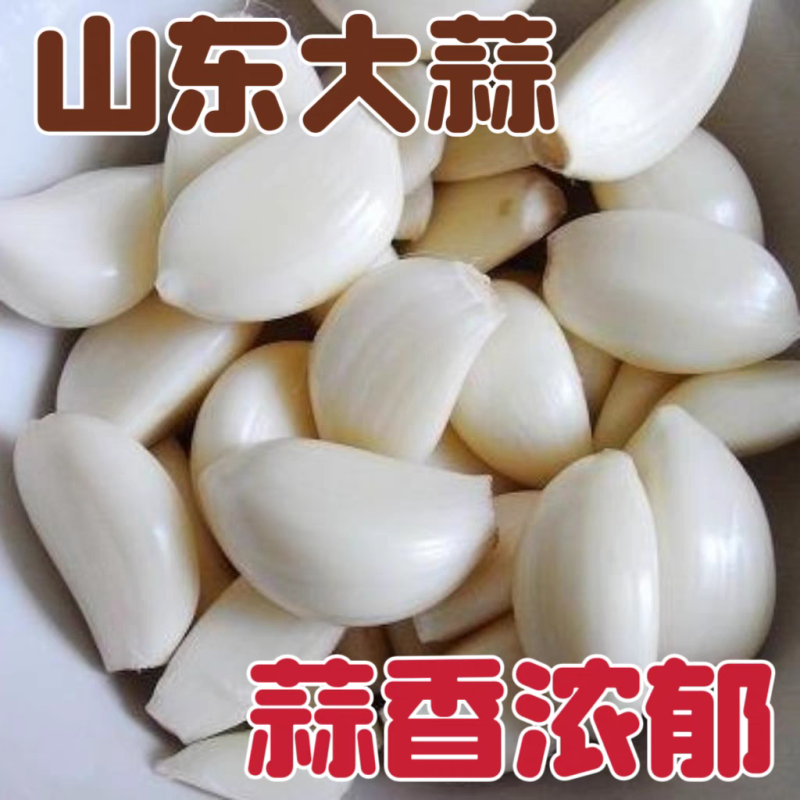 《大蒜》金乡大蒜/紫皮大蒜/供应出口/常年代收代办