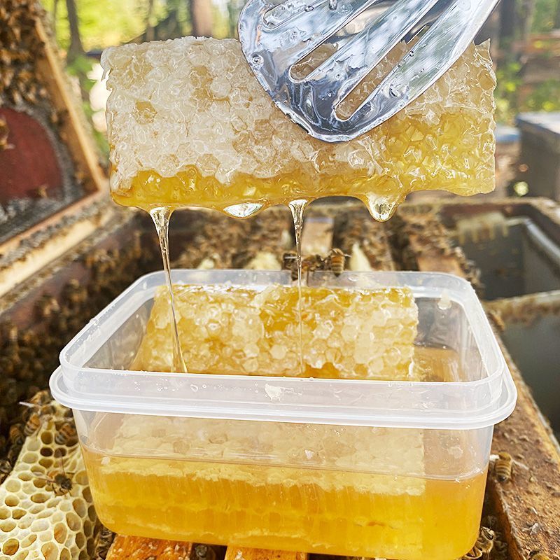 王屋山土蜂蜜，电商货，质量保证欢迎合作共赢。
