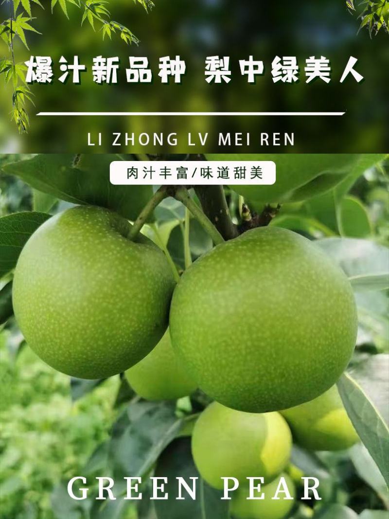 江苏苏翠一号梨子