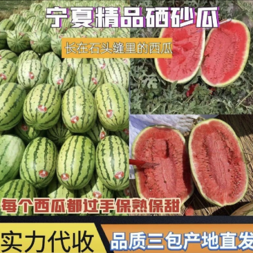 宁夏硒砂瓜宁夏西瓜甘甜多汁产地直达