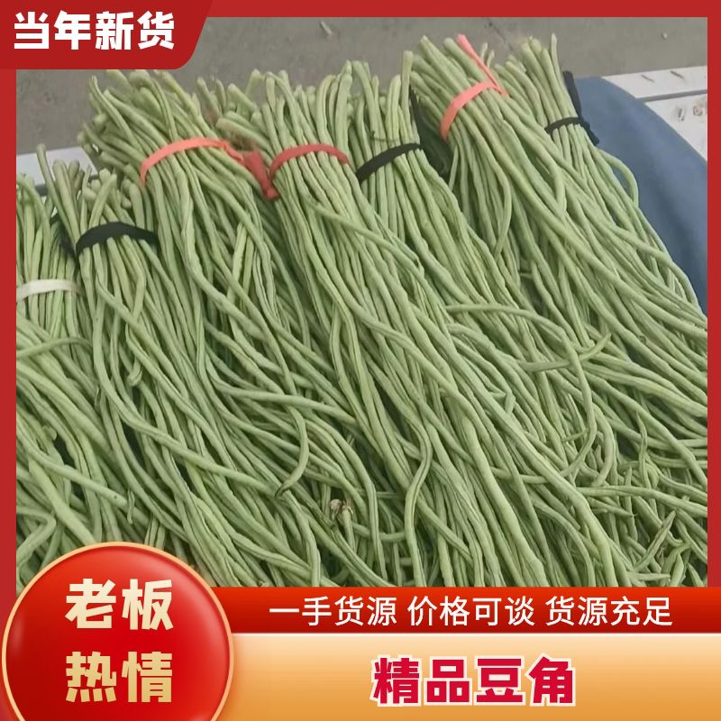 豆角大量现货，量大从优，可全国发货，欢迎采购