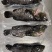 石斑鱼一龙胆三去厂家直供，物美价廉。