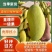 金煌芒在一亩田诚信经营一首货源量大从优欢迎选购