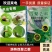 涡特四聚乙酫菜地杀蜗牛药颗粒剂农用药剂