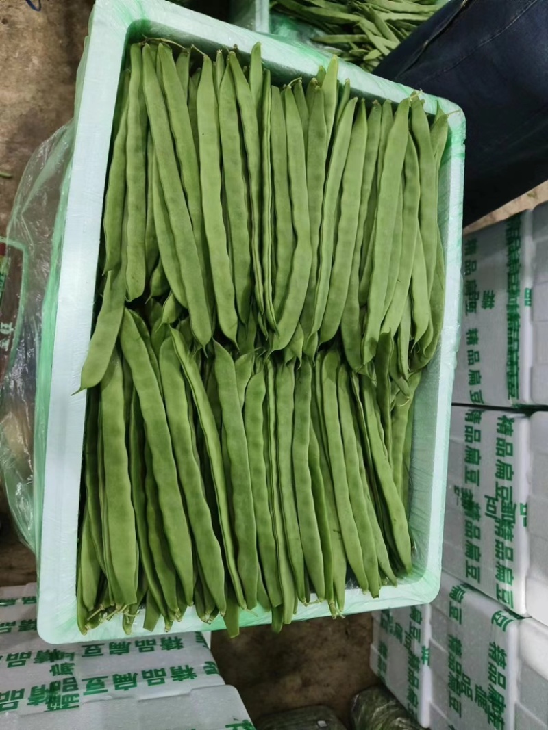 精品扁豆量大从优大量供应，云南产地直发量大从优价格美丽