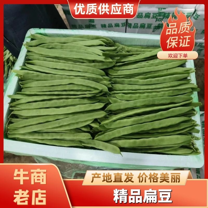 精品扁豆量大从优大量供应，云南产地直发量大从优价格美丽