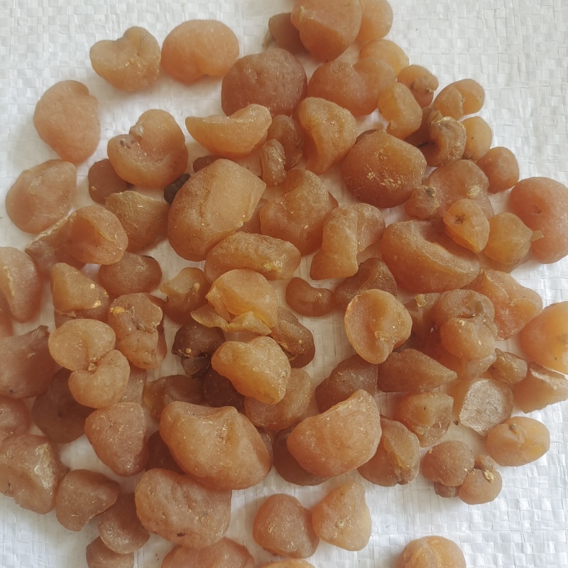 土贝母土贝母新货上市选货货干质量好产地河北