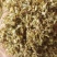 槐花槐花统货今年新货产地山东省过筛发货