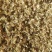 槐花槐花统货今年新货产地山东省过筛发货
