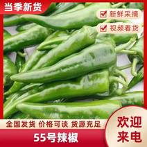 55号湘研辣椒，货源充足，量大从优，全国走货，保质保量！