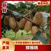 凤凰米良绿心猕猴桃，个头大，有卖相，对接商超电商批发商