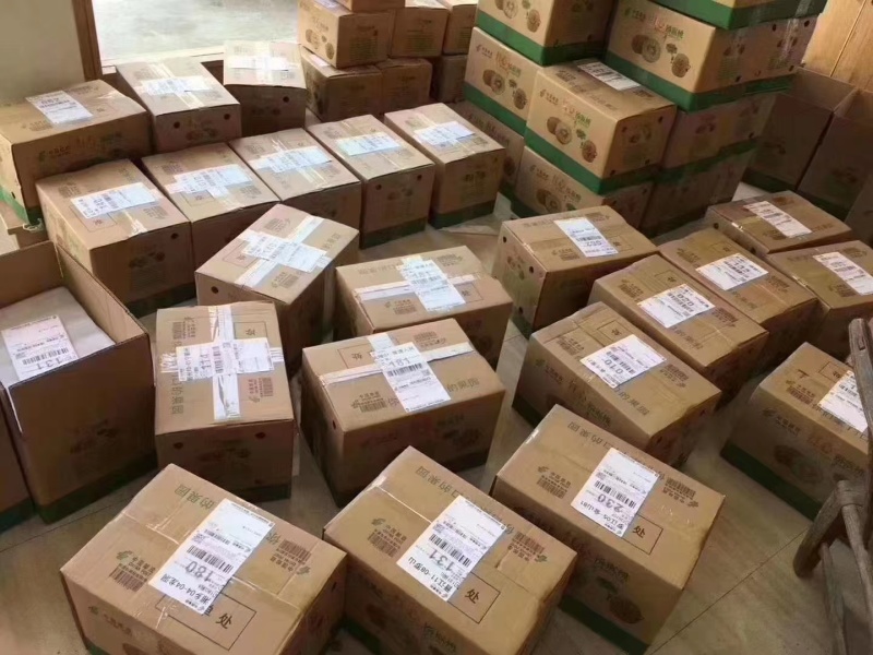 湖南湘西猕猴桃绿心大量供应产地直发量大从优欢迎来电