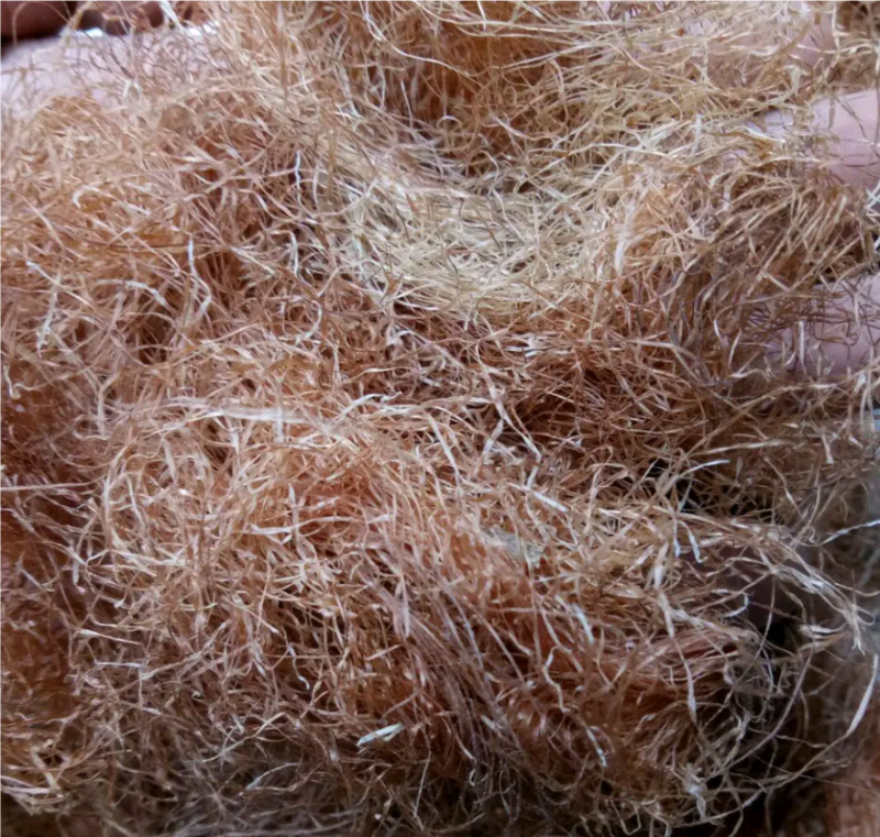 玉米须，产地货源，一手货源，保质保量，批发各种中药材欢迎