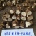 精品滇重楼基地发货精挑细选品质保证欢迎联系选购
