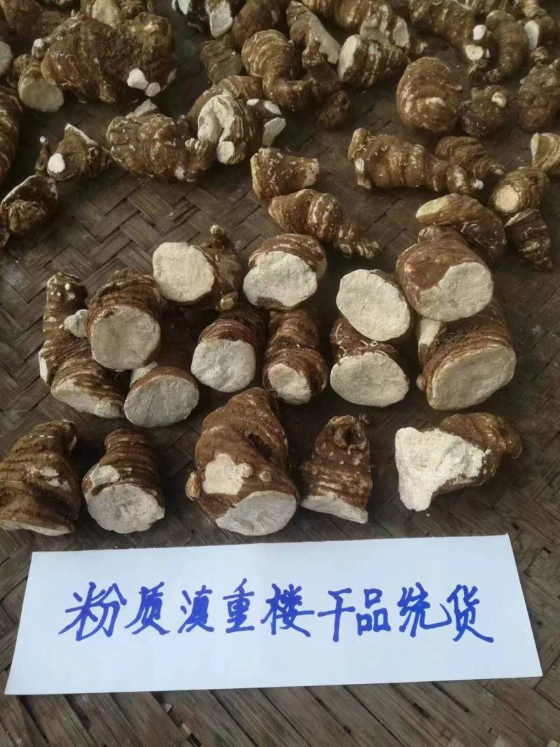精品滇重楼基地发货精挑细选品质保证欢迎联系选购