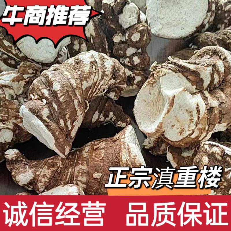 精品滇重楼基地发货精挑细选品质保证欢迎联系选购