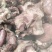 熟驴肉带皮驴肉五香驴肉厂家直供品质保证