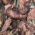 熟驴肉带皮驴肉五香驴肉厂家直供品质保证