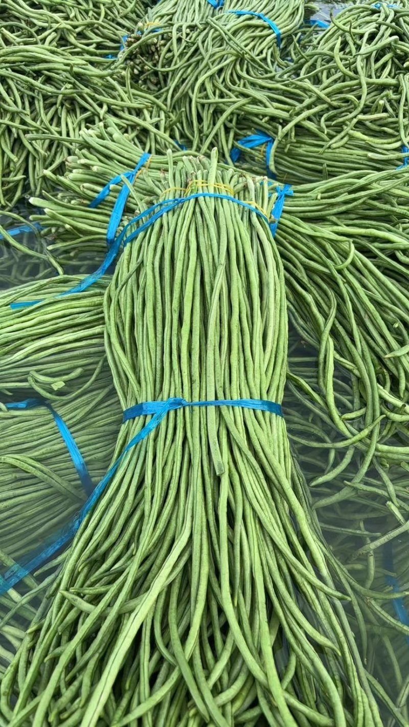 豆角，长条豆角，豆角批发市场货电商货