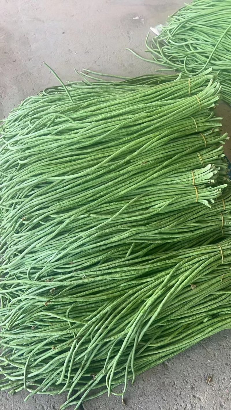 豆角，长条豆角，豆角批发市场货电商货