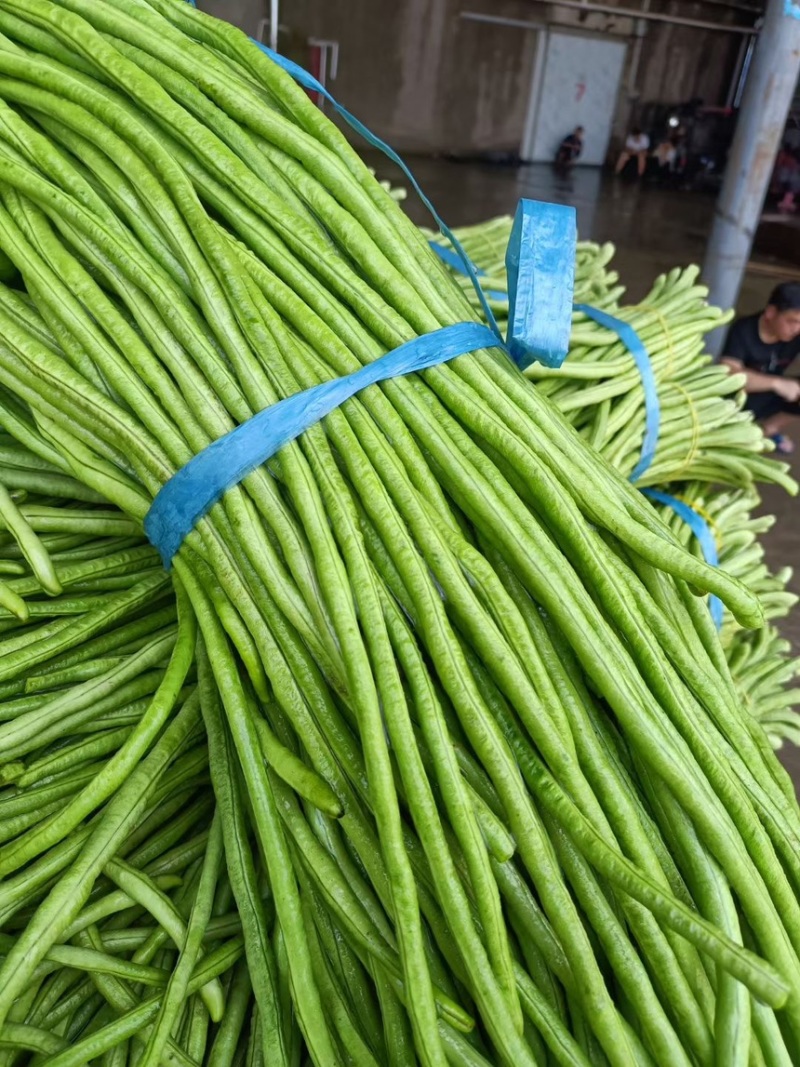 豆角，长条豆角，豆角批发市场货电商货