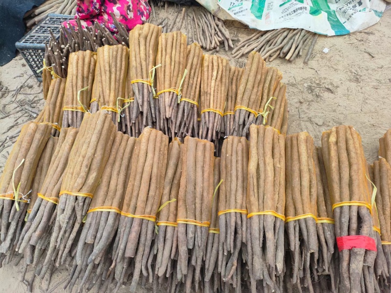 河北保定*麻山药产地直发，质量保证电商货诚信为本