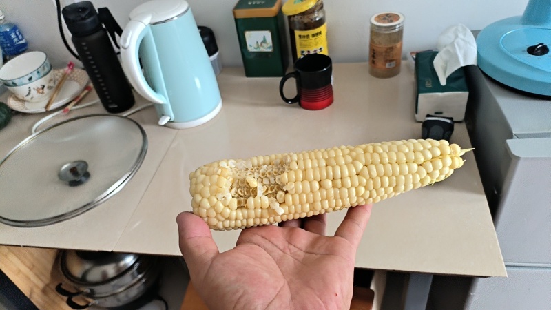 粘玉米，品种农科糯，口感香甜糯，回头客百分百！