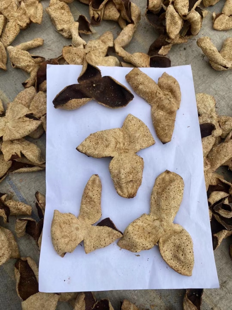 新会陈皮，精选三花皮量大质优欢迎咨询