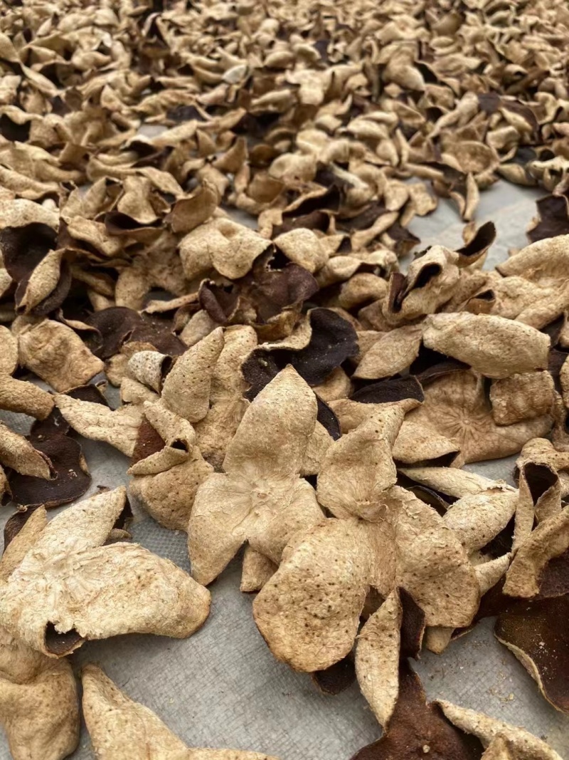 新会陈皮，精选三花皮量大质优欢迎咨询
