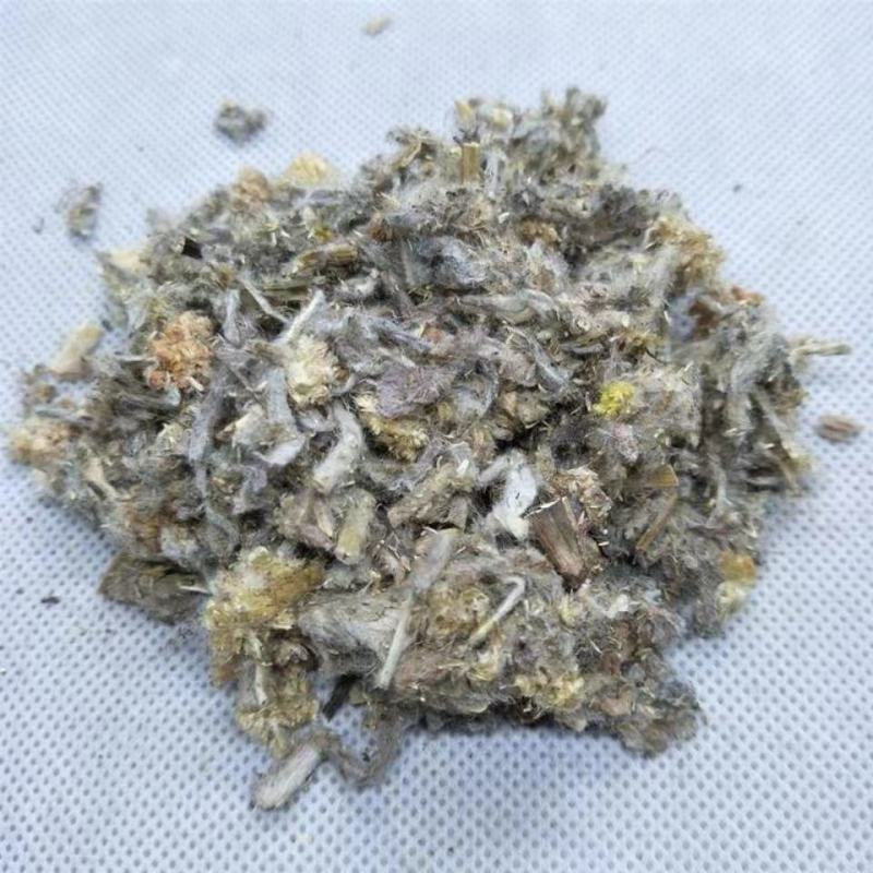 佛尔草鼠曲草佛耳草中药材