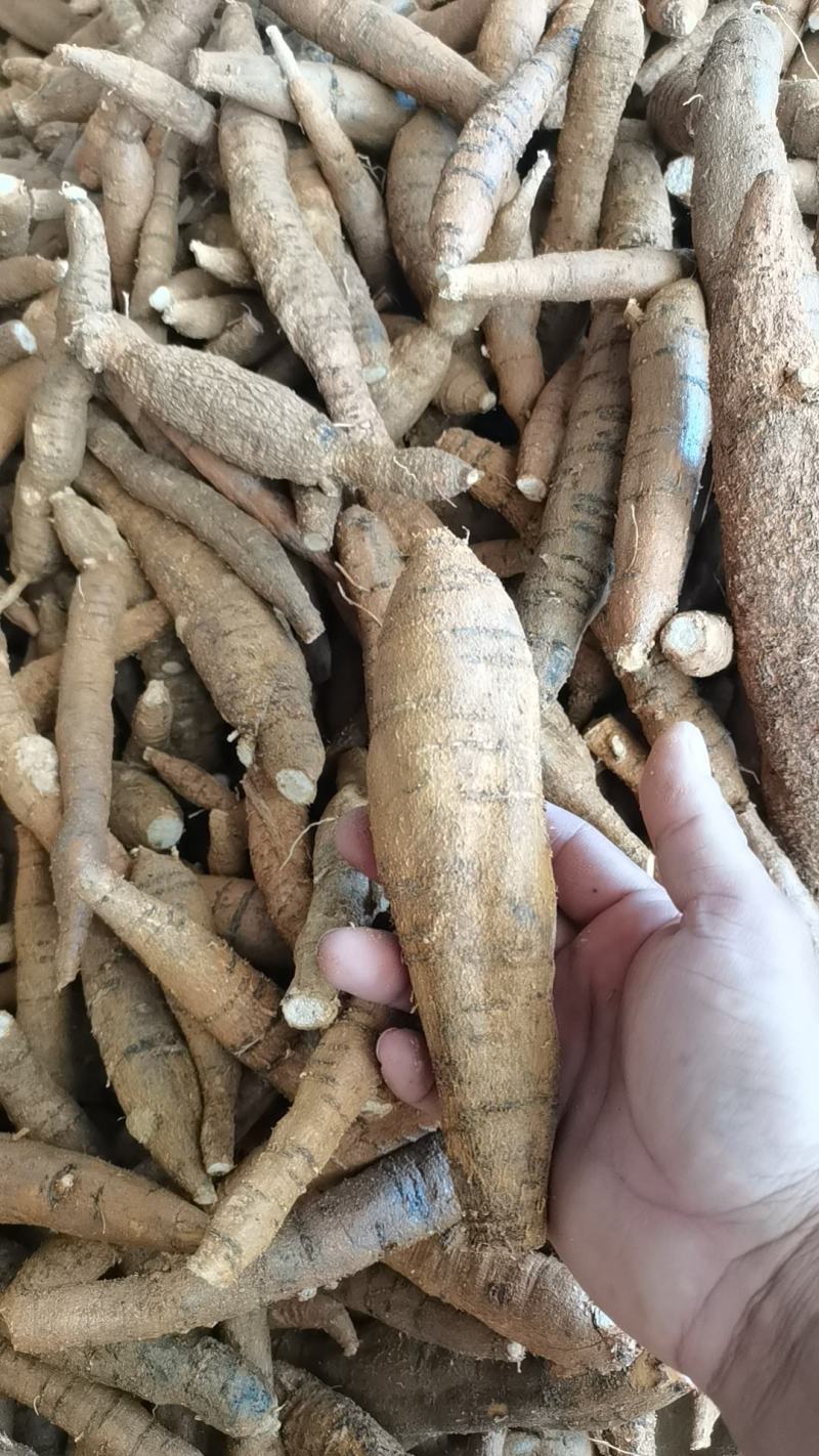 精品牛大力圆牛工厂常年供货大圆牛中圆牛小圆牛小小圆牛