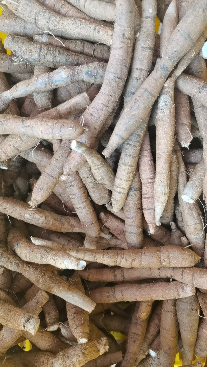 精品牛大力圆牛工厂常年供货大圆牛中圆牛小圆牛小小圆牛