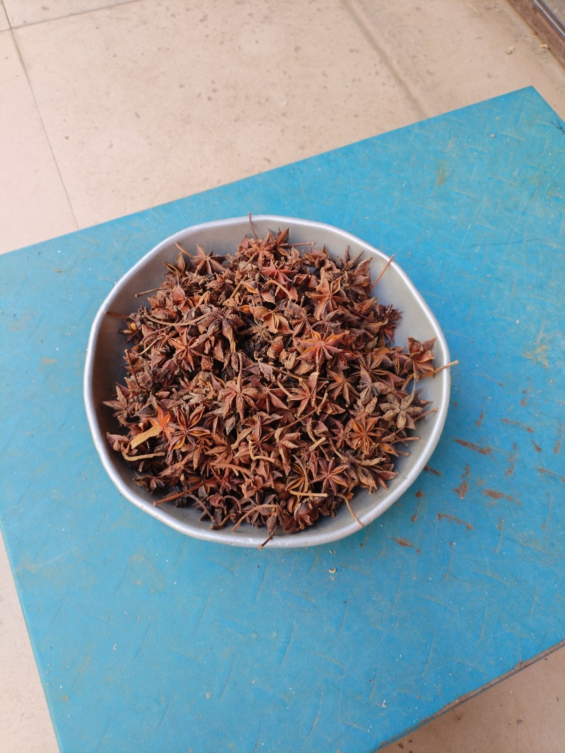 广西干八角香料春花果三月果货源充足产地值供